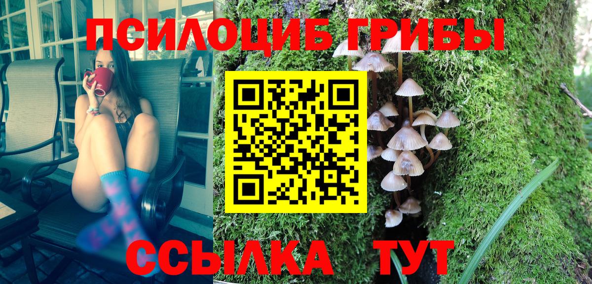 Псилоцибиновые грибы Cubensis  Псилоцибиновые грибы мухоморы  Майкоп  Вход с VPN 